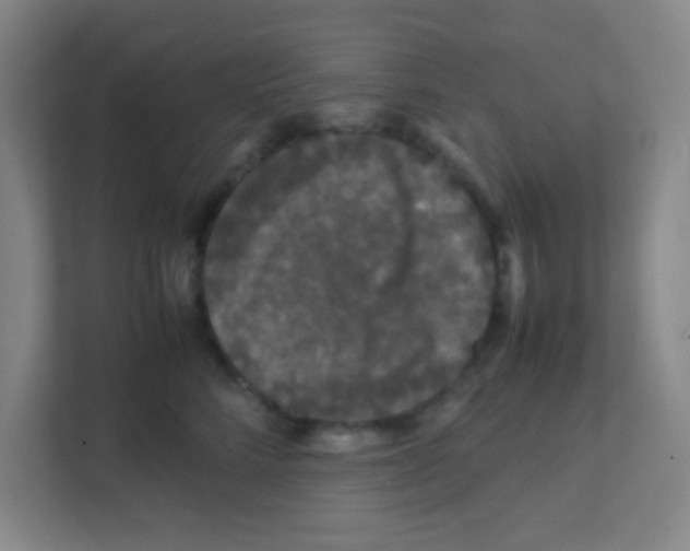 X0000111470712200908101115