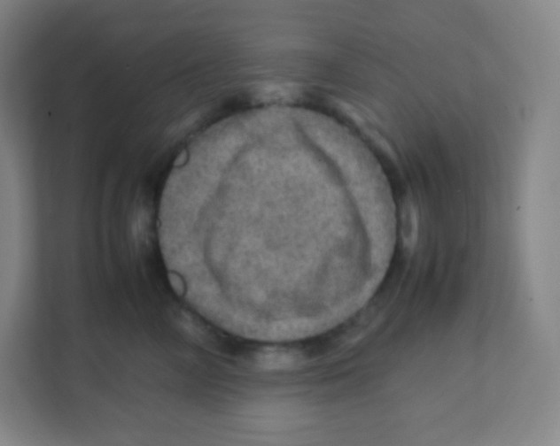 X0000111470714200908101115