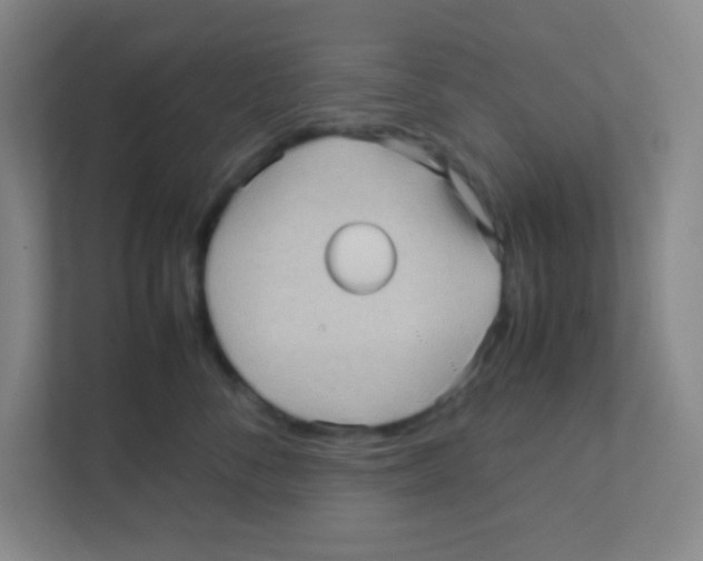 X0000111470716200908101115