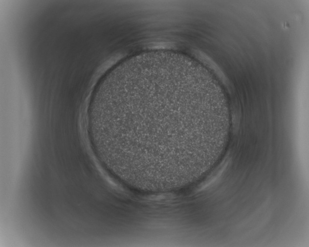 X0000111470721200908101114