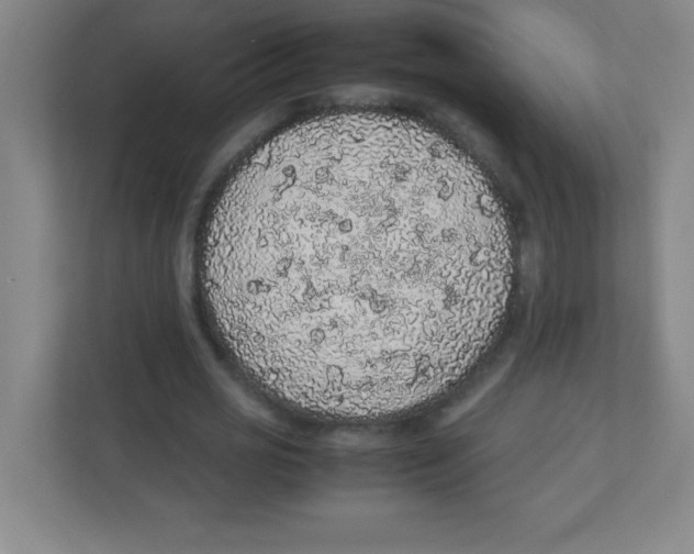 X0000111470725200908101114