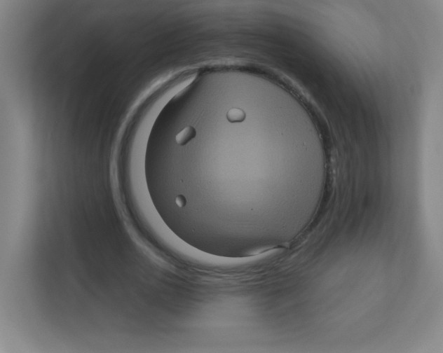 X0000111470726200908101114