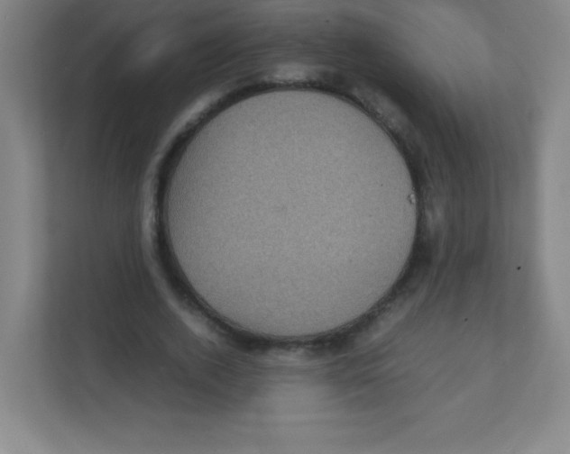 X0000111470728200908101114