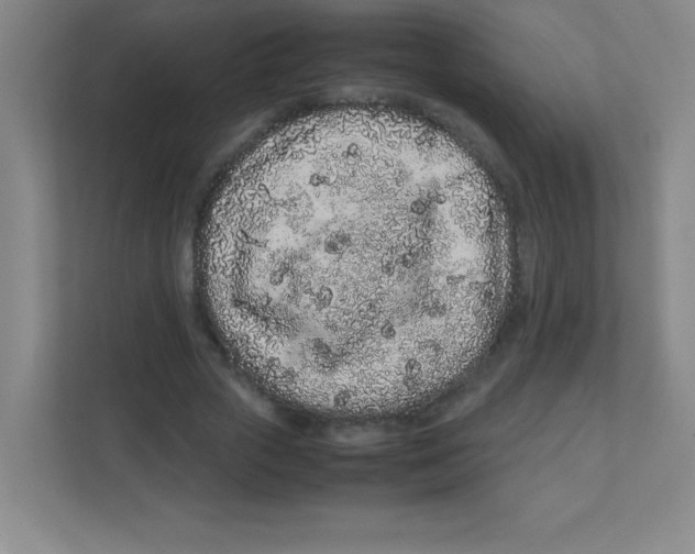 X0000111470729200908101114