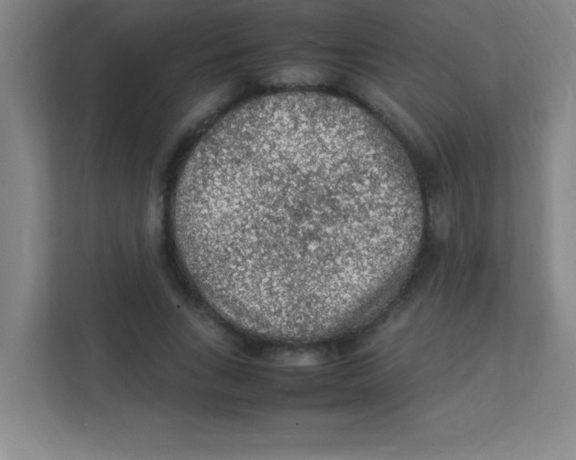 X0000111470735200908101114