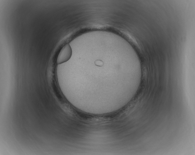 X0000111470736200908101114