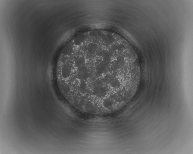 X0000111470738200908101114