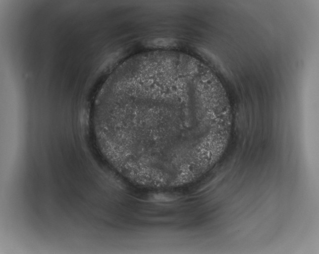 X0000111470739200908101114