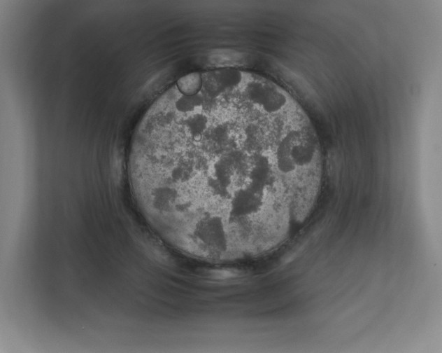 X0000111470741200908101114