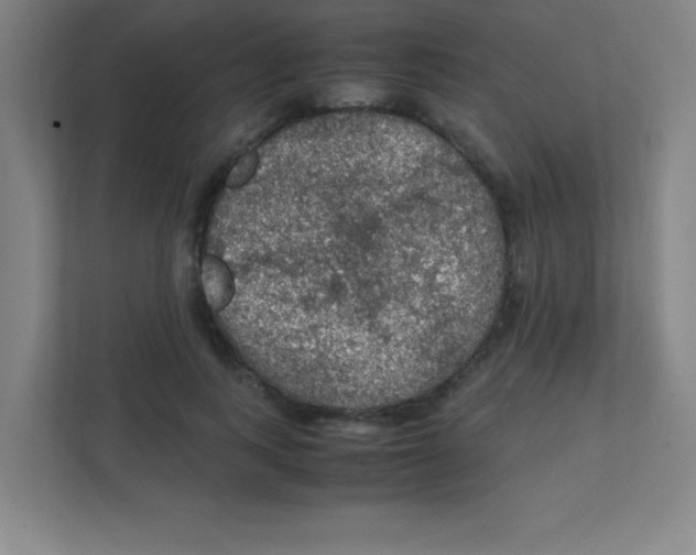 X0000111470743200908101114