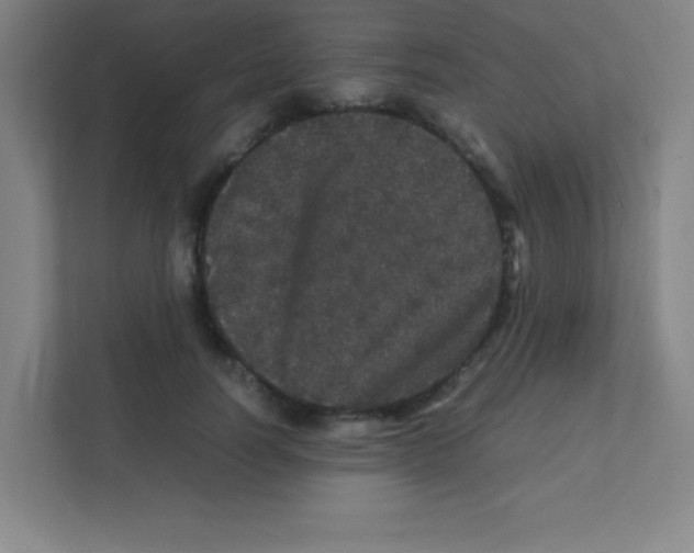 X0000111470746200908101114