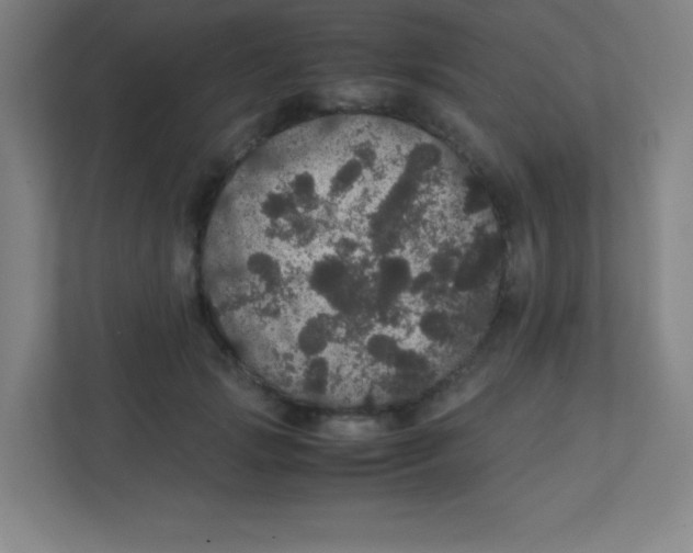 X0000111470749200908101114