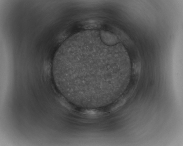 X0000111470753200908101114