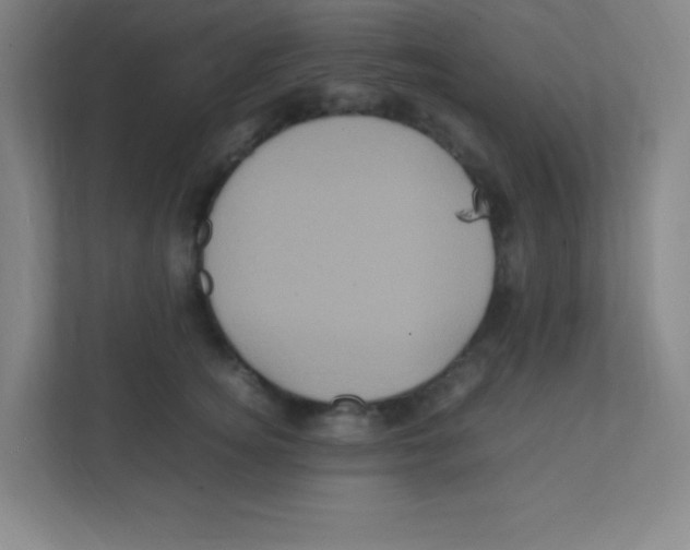 X0000111470756200908101114