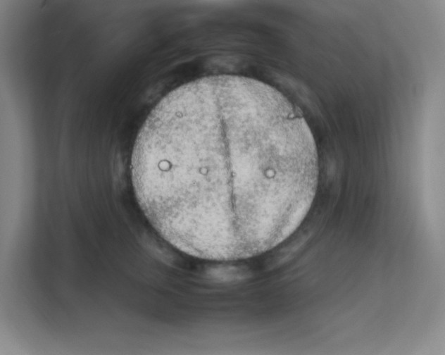 X0000111470759200908101114