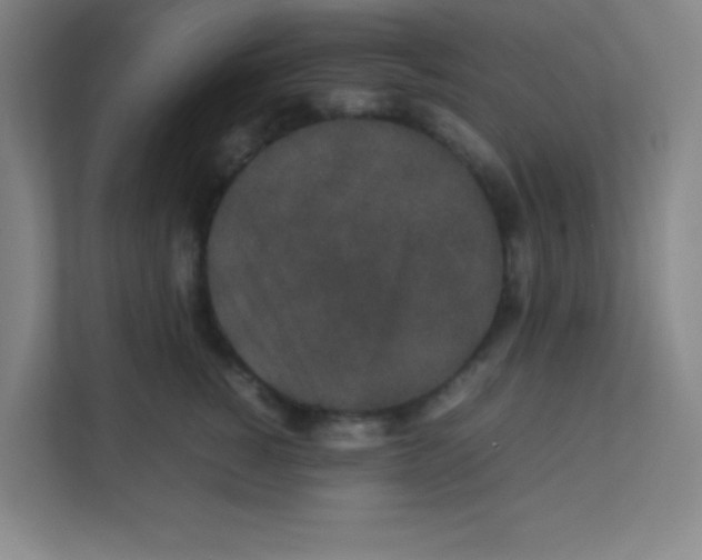 X0000111470760200908101114