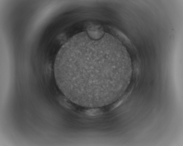 X0000111470761200908101114