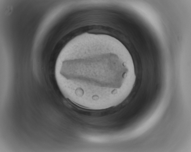 X0000111470766200908101114