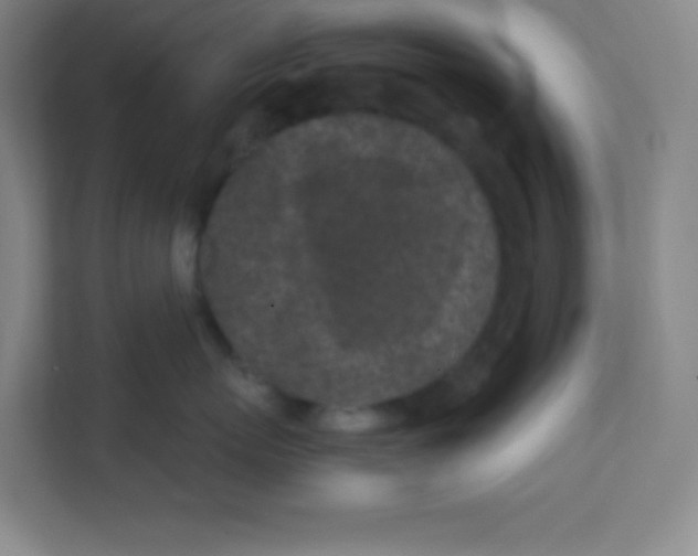 X0000111470767200908101114