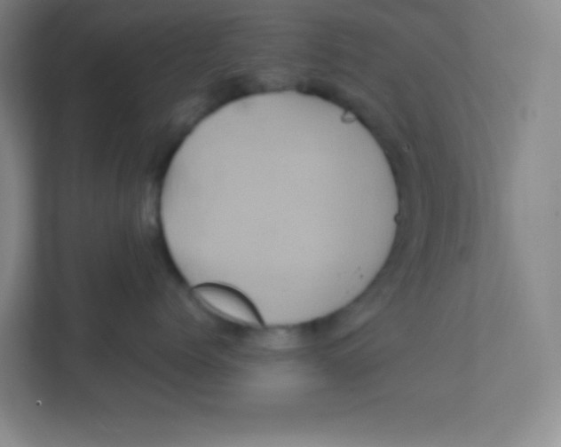 X0000111470768200908101114