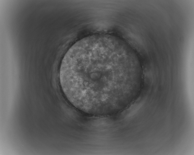 X0000111470769200908101114