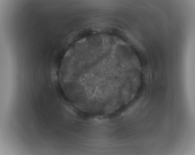 X0000111470770200908101114