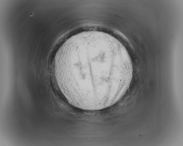 X0000111470775200908101114