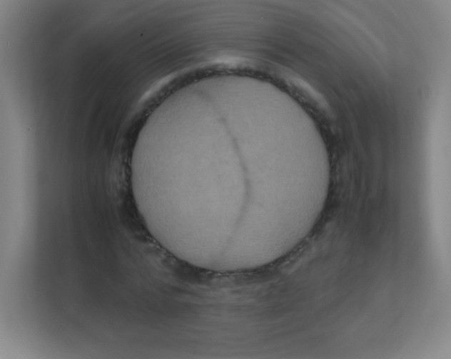 X0000111470776200908101114