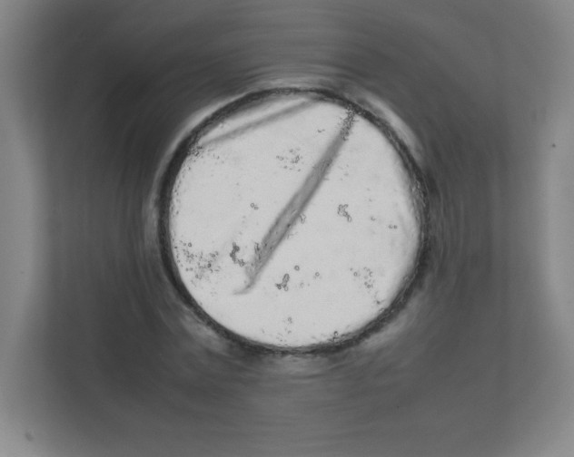 X0000111470779200908101114