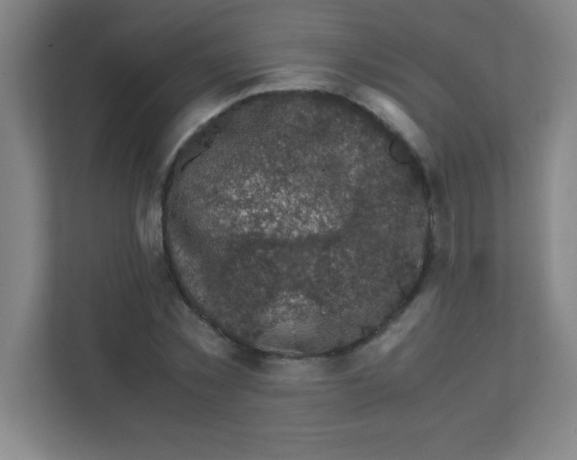 X0000111470781200908101114