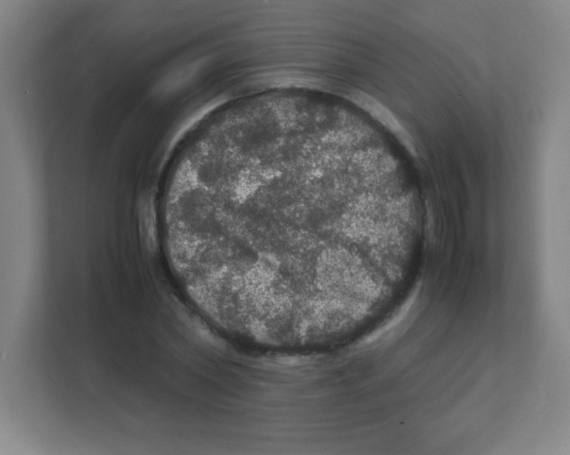 X0000111470782200908101114