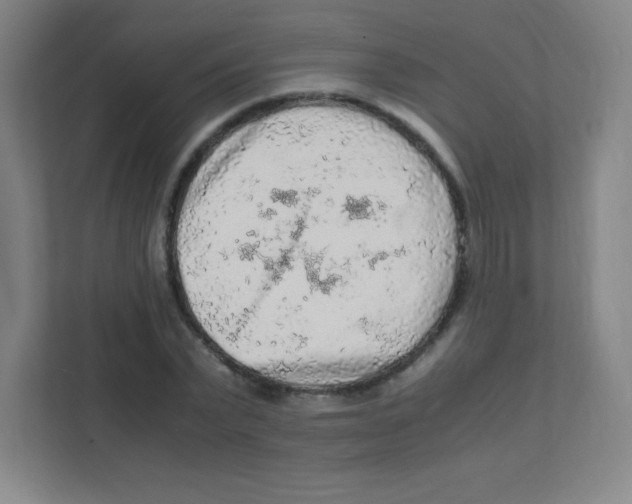 X0000111470783200908101114