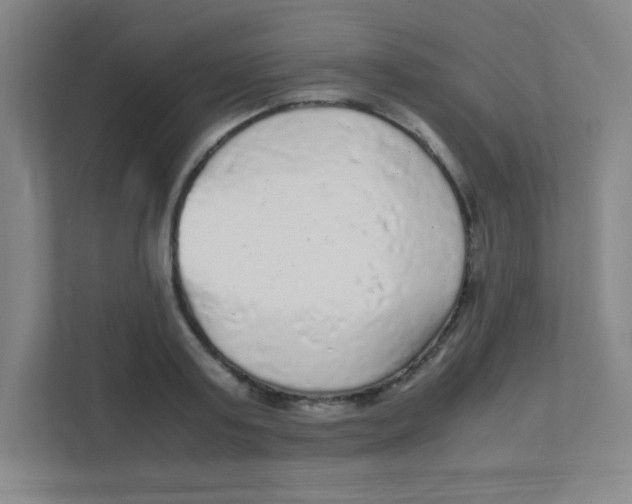 X0000111470795200908101113