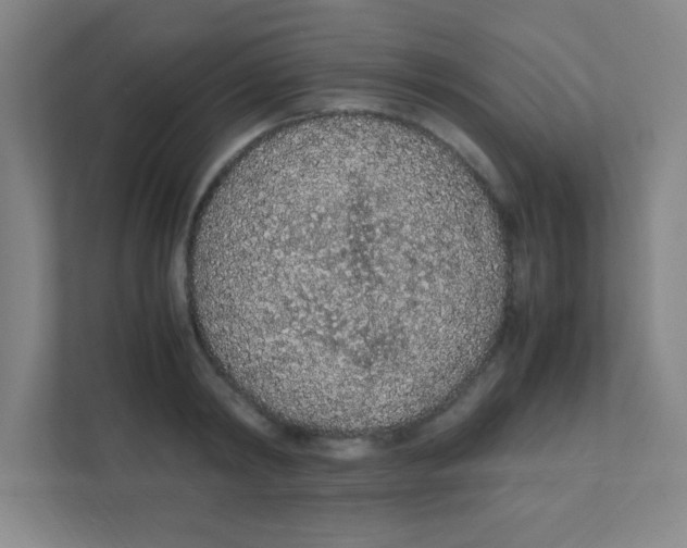 X0000111470798200908101113