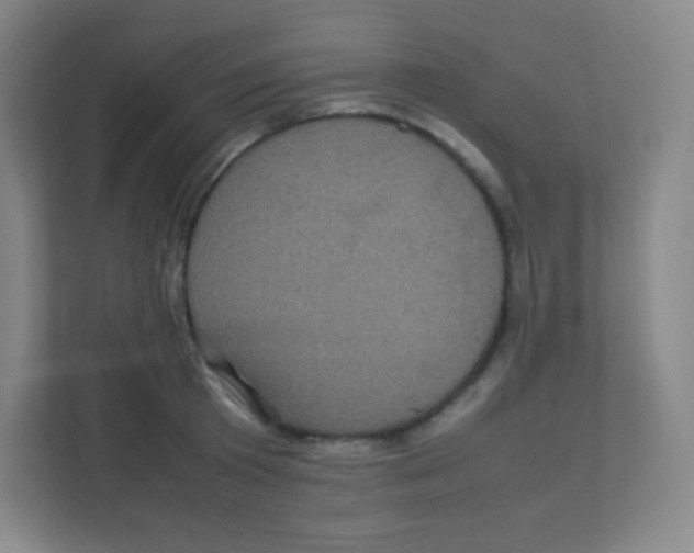 X0000111470801200908101113