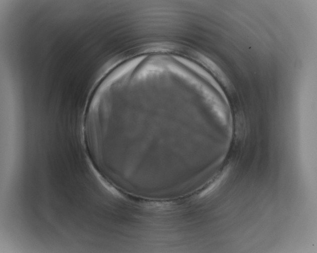 X0000111470802200908101113