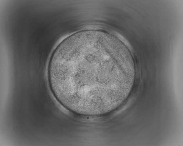 X0000111470803200908101113