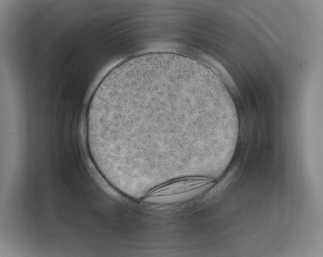 X0000111470804200908101113