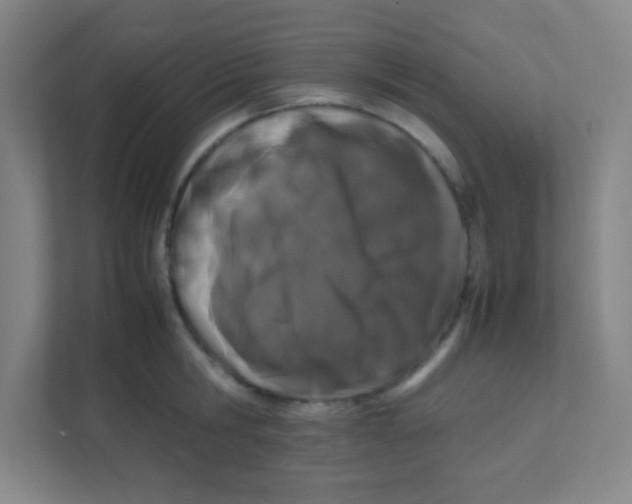 X0000111470806200908101113