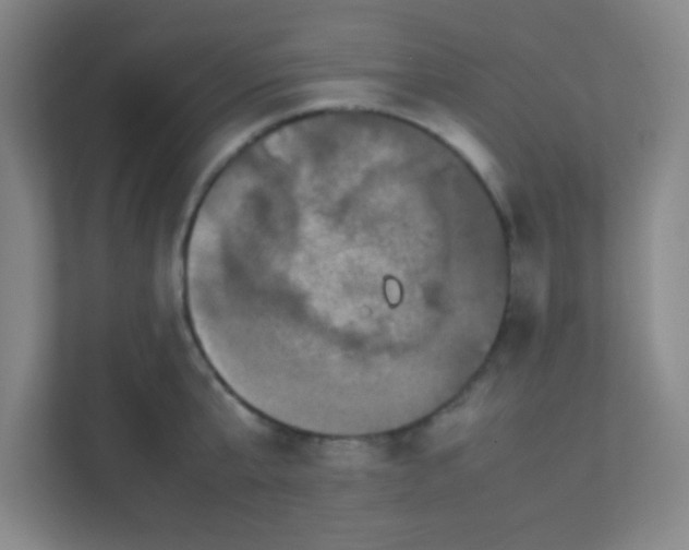 X0000111470807200908101113