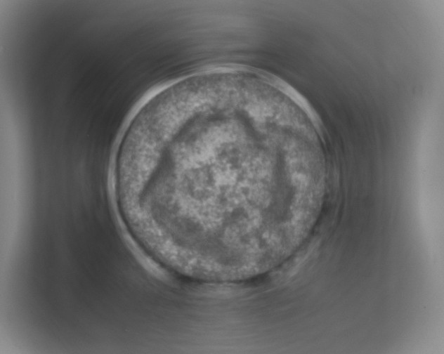 X0000111470811200908101113