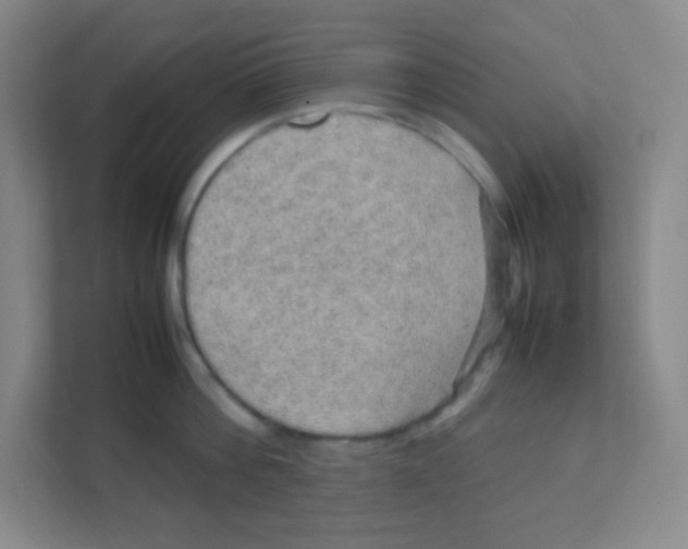 X0000111470812200908101113