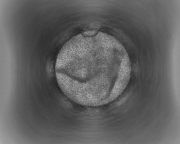 X0000111470818200908101113