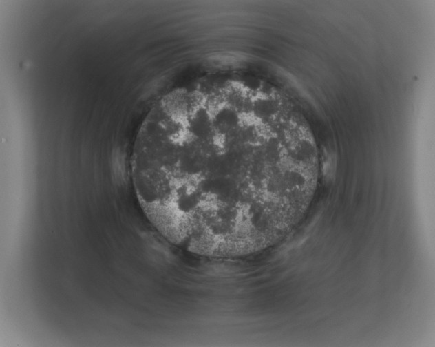 X0000111470819200908101113