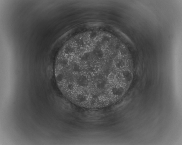 X0000111470821200908101113