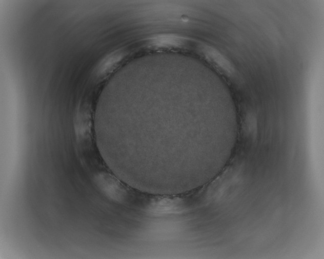 X0000111470824200908101113