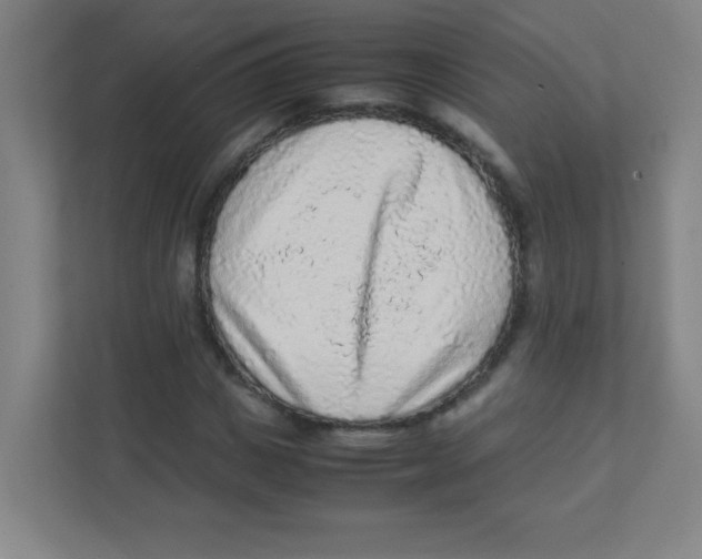 X0000111470825200908101113