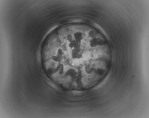 X0000111470827200908101113