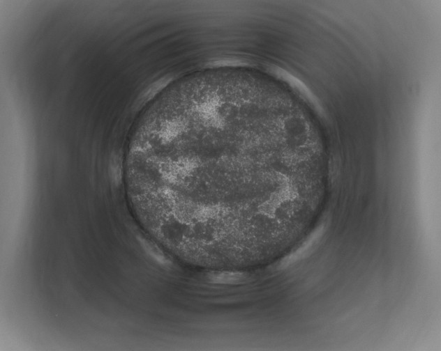 X0000111470833200908101113