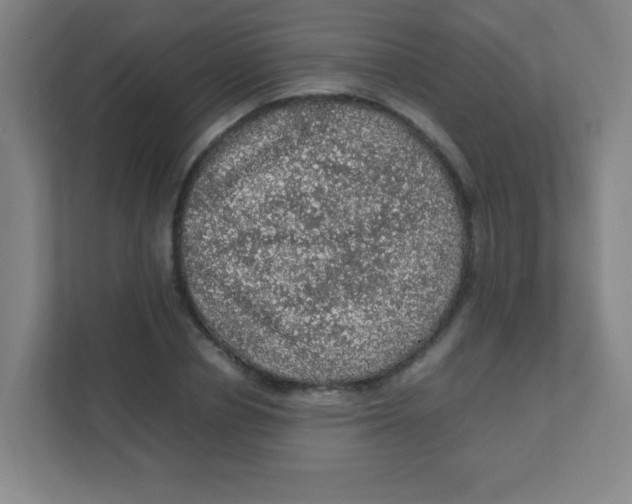 X0000111470834200908101113